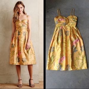 Botanica dress by James Coviello for Anthropologie